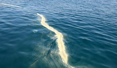 Turizm kenti Antalya’da panik! ‘Rüzgarla taşınarak deniz üzerinde kümeleniyor’